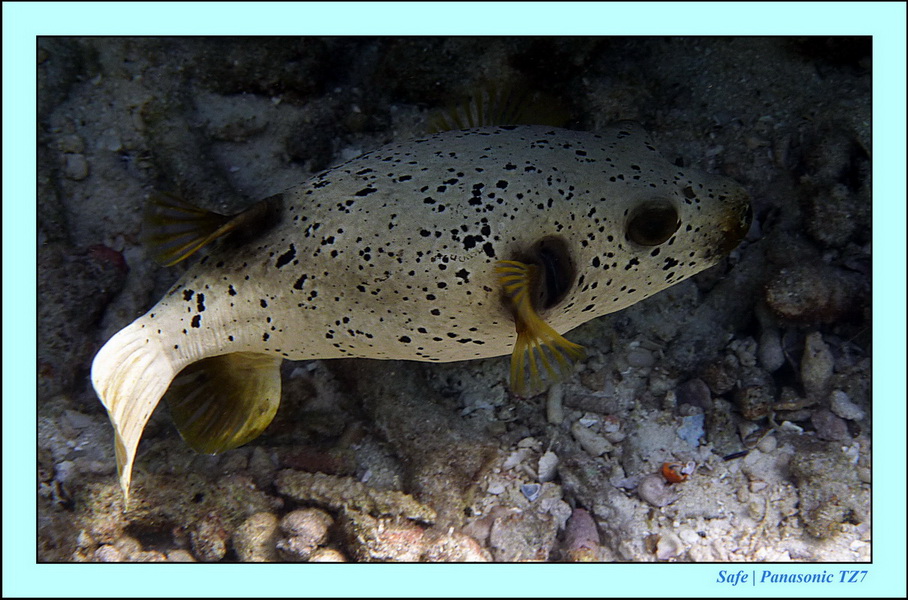 2012 - 03 - Koh Ha 10